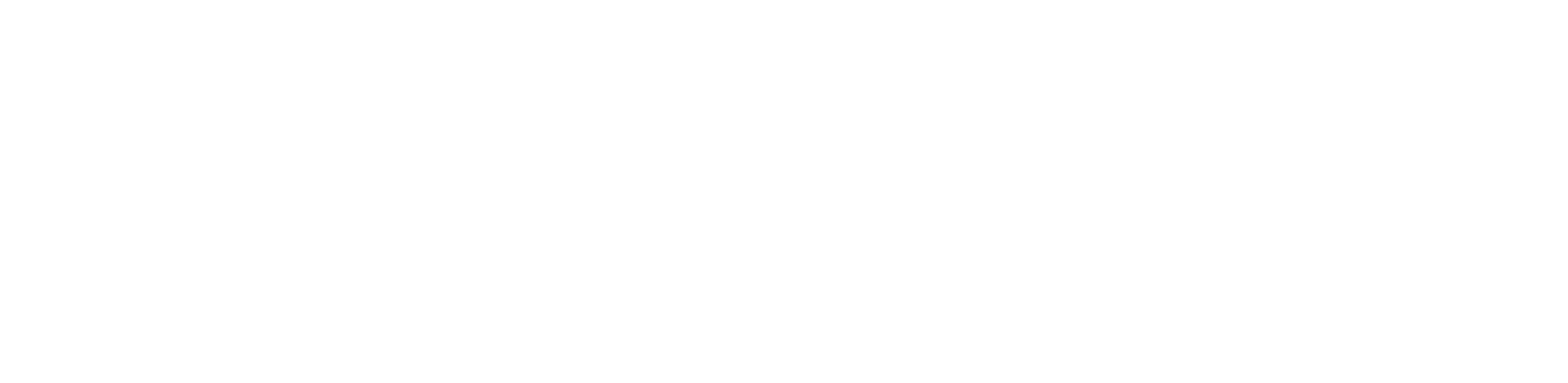 TNSALogo